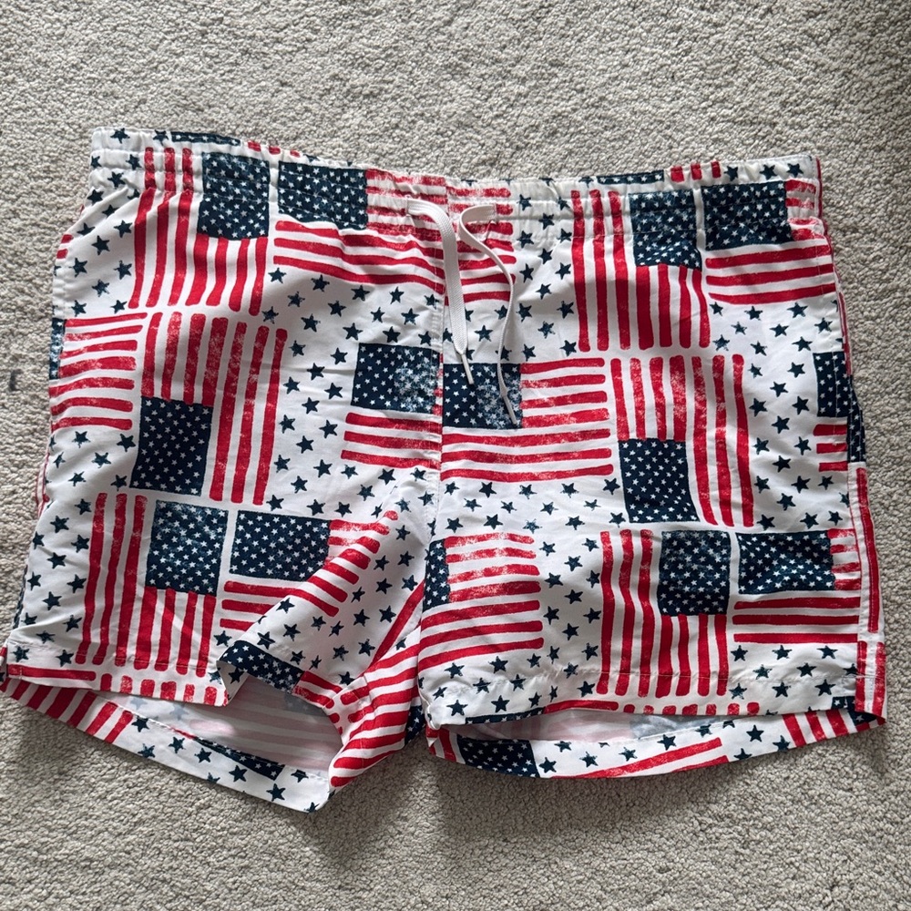 Chubbies American Flag Print Swim Trunks